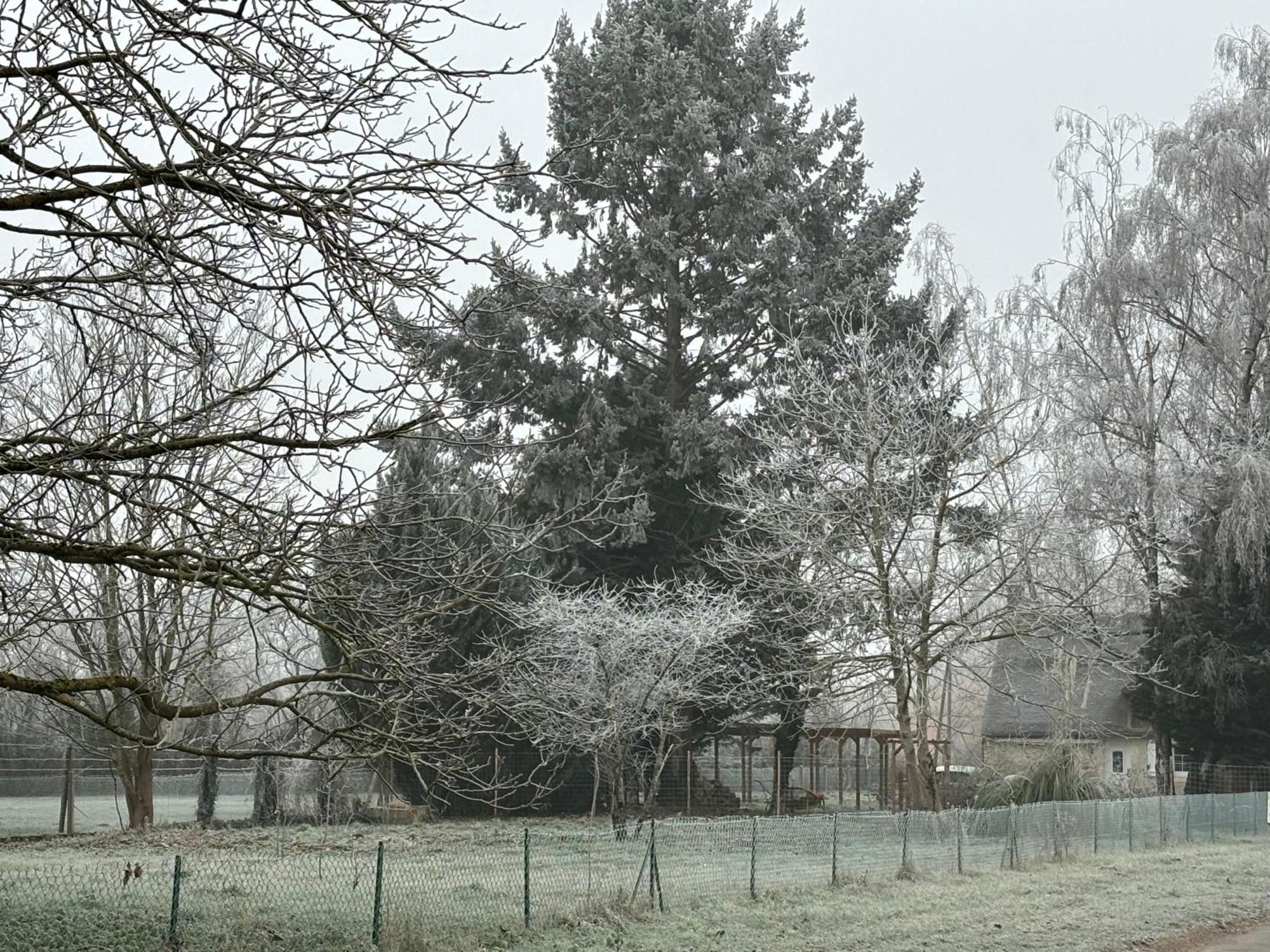 La Haute Tremiere Charenton-du-Cher Extérieur photo